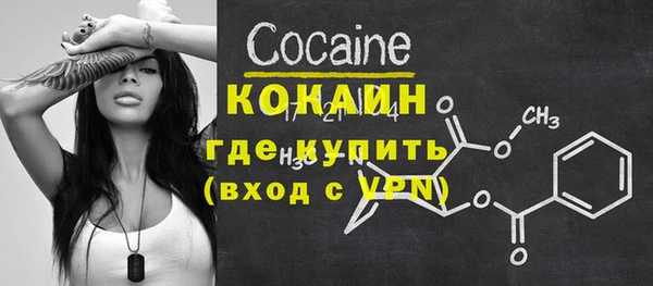 дживик Новодвинск