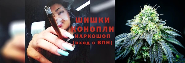 ECSTASY Новозыбков