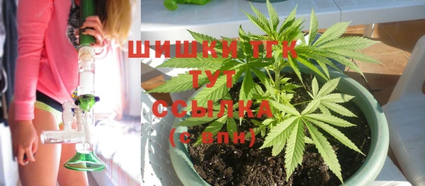 ECSTASY Новозыбков