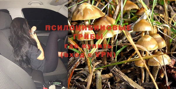 ECSTASY Новозыбков