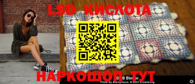 прущие крисы Абинск