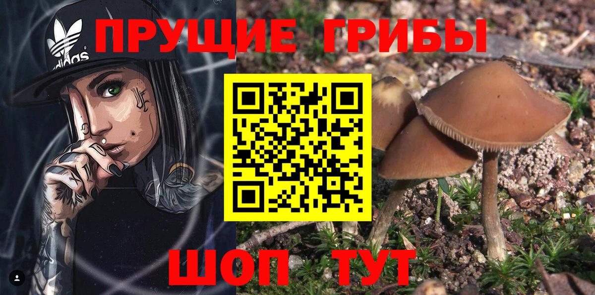 Азов  Псилоцибиновые грибы мицелий  Вход с VPN 