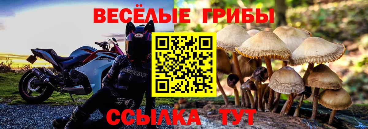 Псилоцибиновые грибы GOLDEN TEACHER Азов