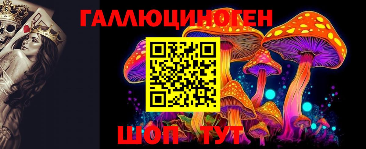 Псилоцибиновые грибы Cubensis  Псилоцибиновые грибы Cubensis  Азов 